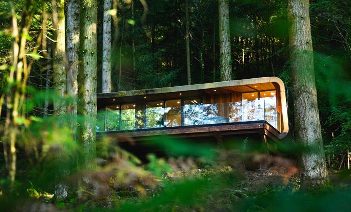 Zip World Forest Lodge